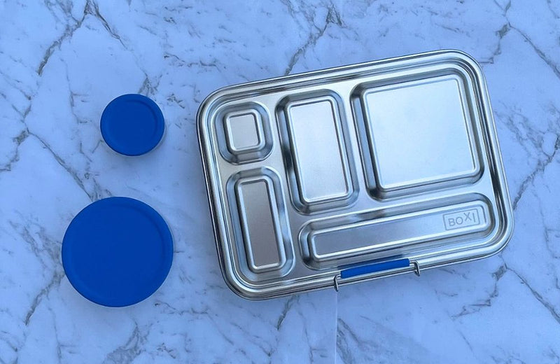 Large Stainless Steel Bento Box - Royal Blue