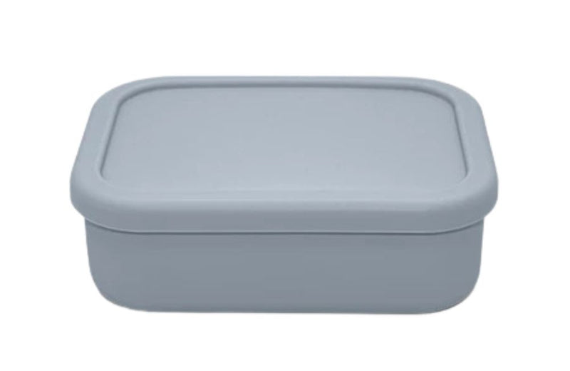 Medium Stainless Steel Bento Box - Purple