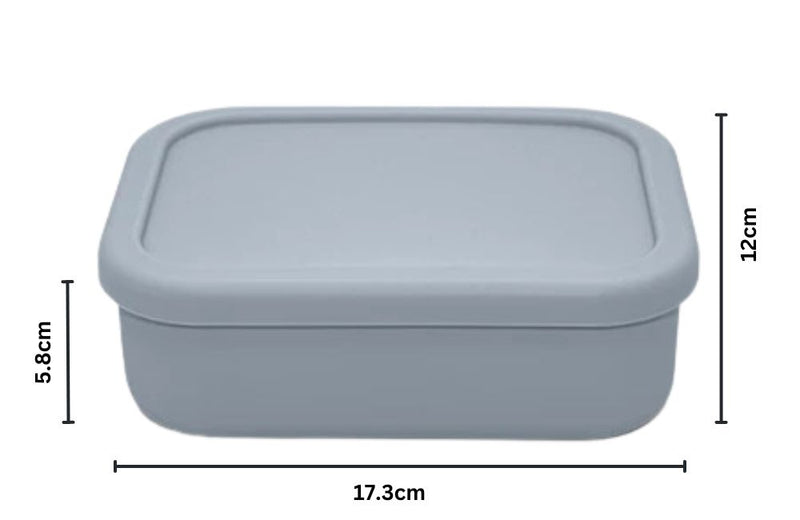 Medium Silicone Bento Box - Silver Dust