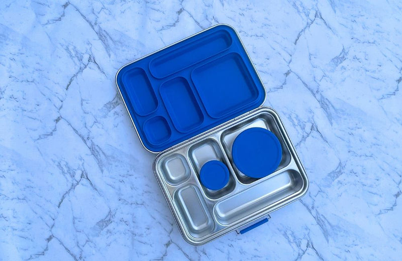 Large Stainless Steel Bento Box - Royal Blue