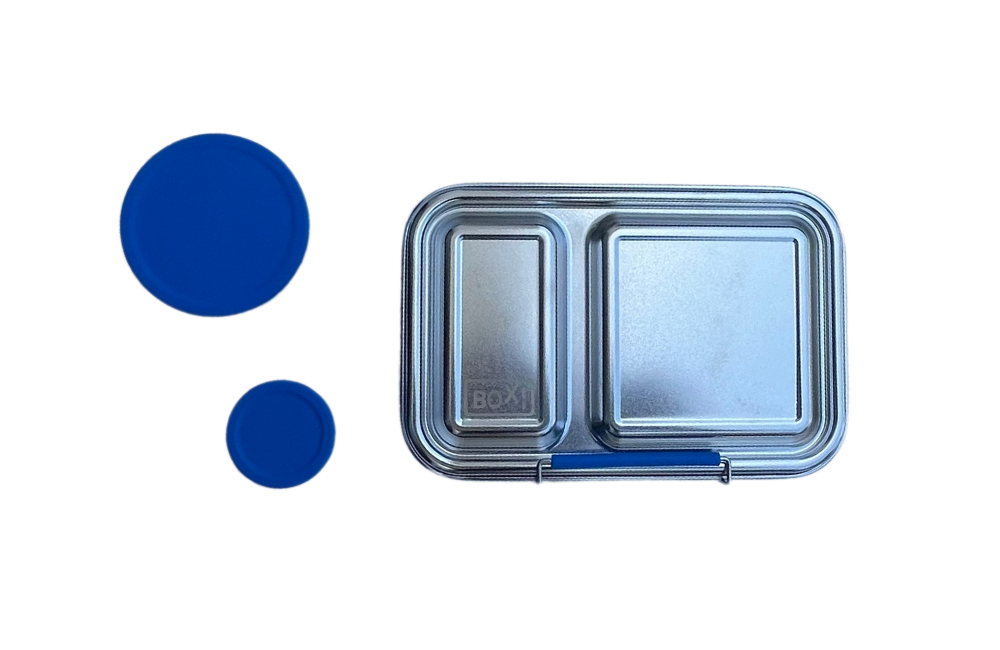 Medium Stainless Steel Bento Box - Royal Blue