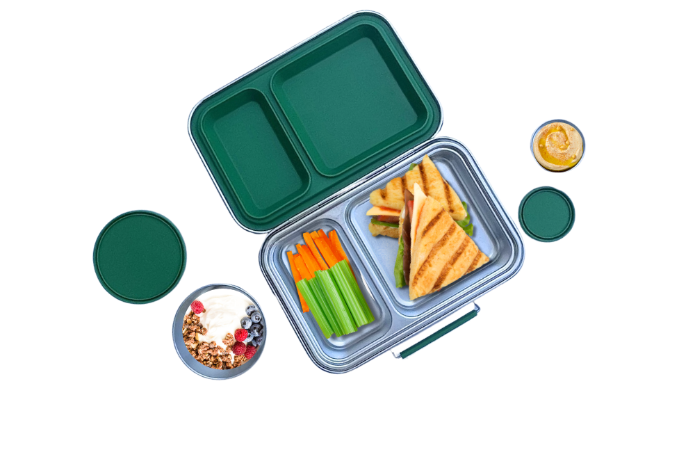 Medium Stainless Steel Bento Box - Green