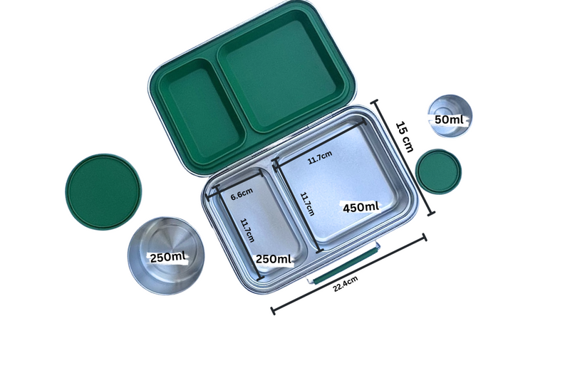 Medium Stainless Steel Bento Box - Green