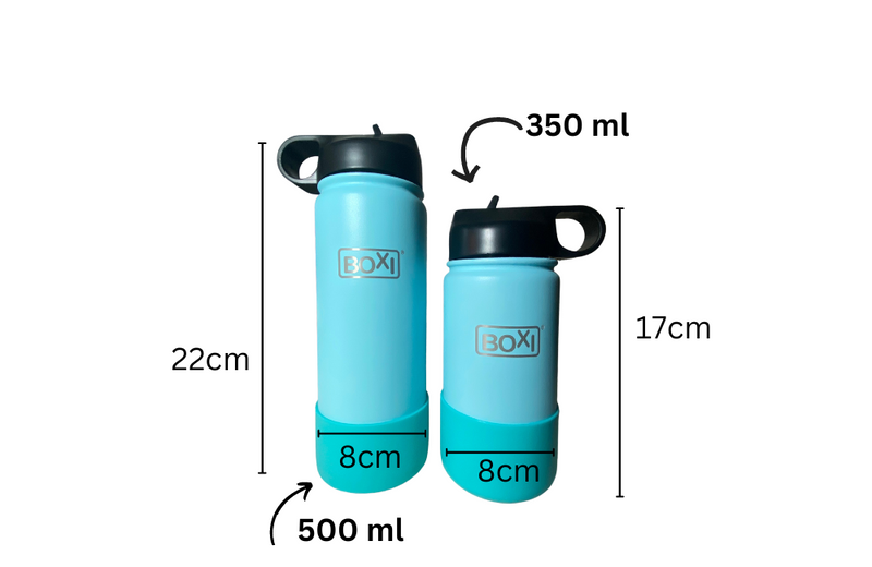 Double wall stainless steel drink bottle (500ml) - Blue