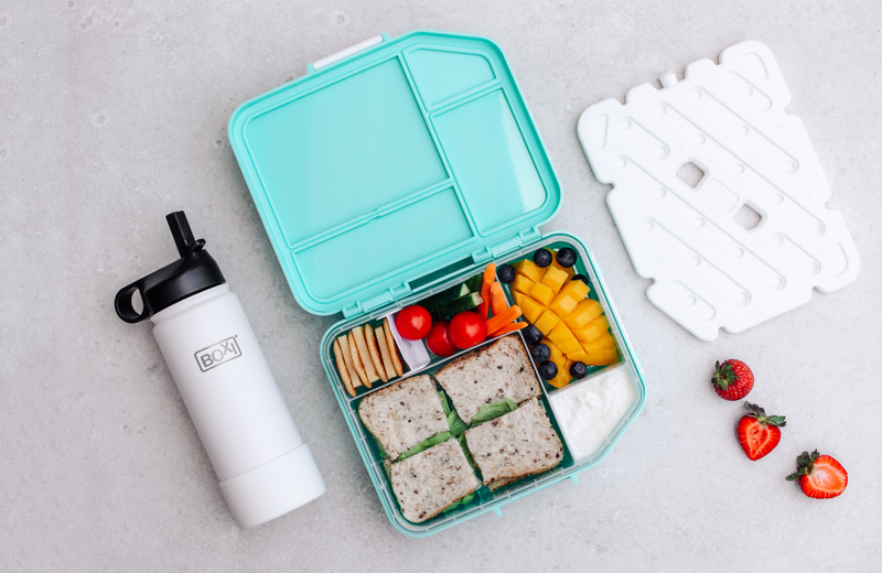 Boxi Cool Lunchbox with ice panel - 'Aqua Ice'