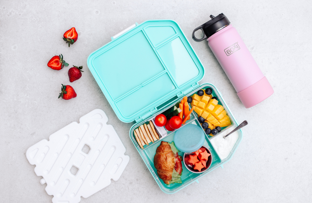 Boxi Cool Lunchbox with ice panel - 'Aqua Ice'