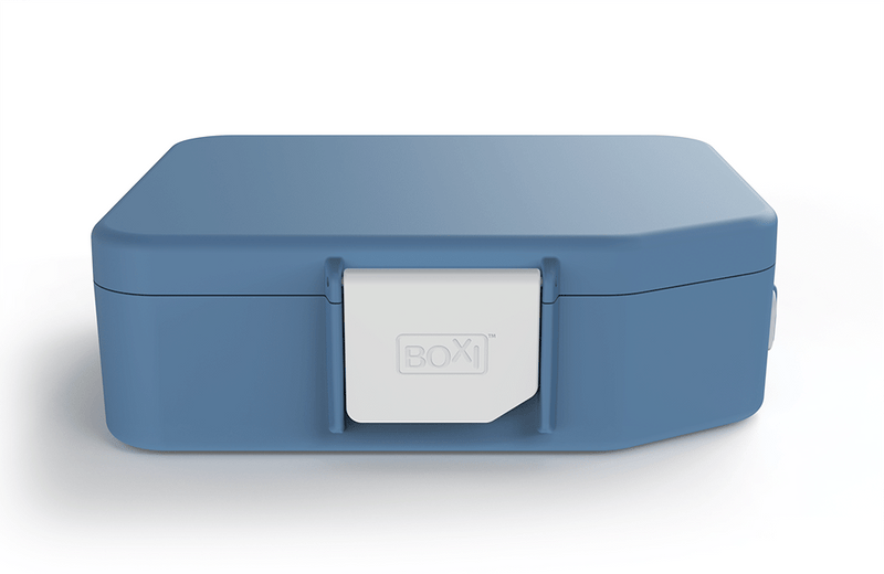 Boxi Cool Lunchbox with ice panel - 'Blueberry Jam'