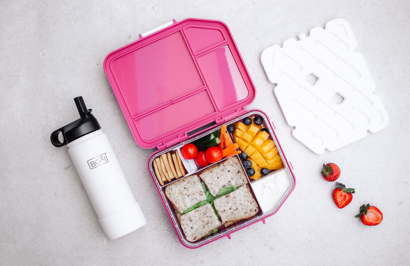 Boxi Cool Lunchbox with ice panel - 'Pomegranate Crush'