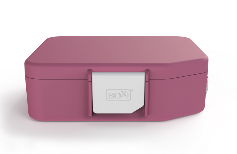 Medium Stainless Steel Bento Box - Purple